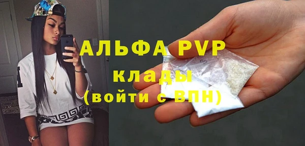 дурь Пересвет