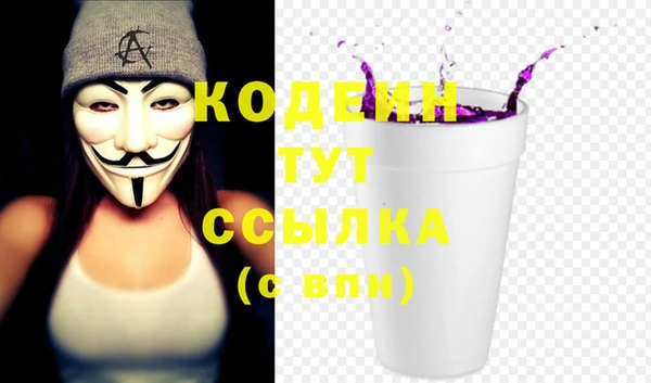 гашик Гусев