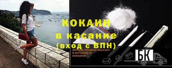 дурь Пересвет