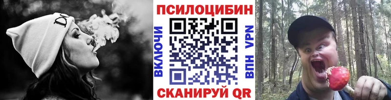 купить наркотик  Светлый  Псилоцибиновые грибы GOLDEN TEACHER 