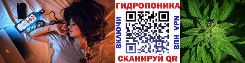 hydra вход  Светлый  Марихуана Amnesia 